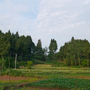 寒川