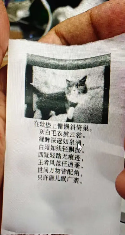 http://oscimg.oschina.net/AiCreationDetail/up-1e184c5d2d53442ec6ac8a97727149a2.png