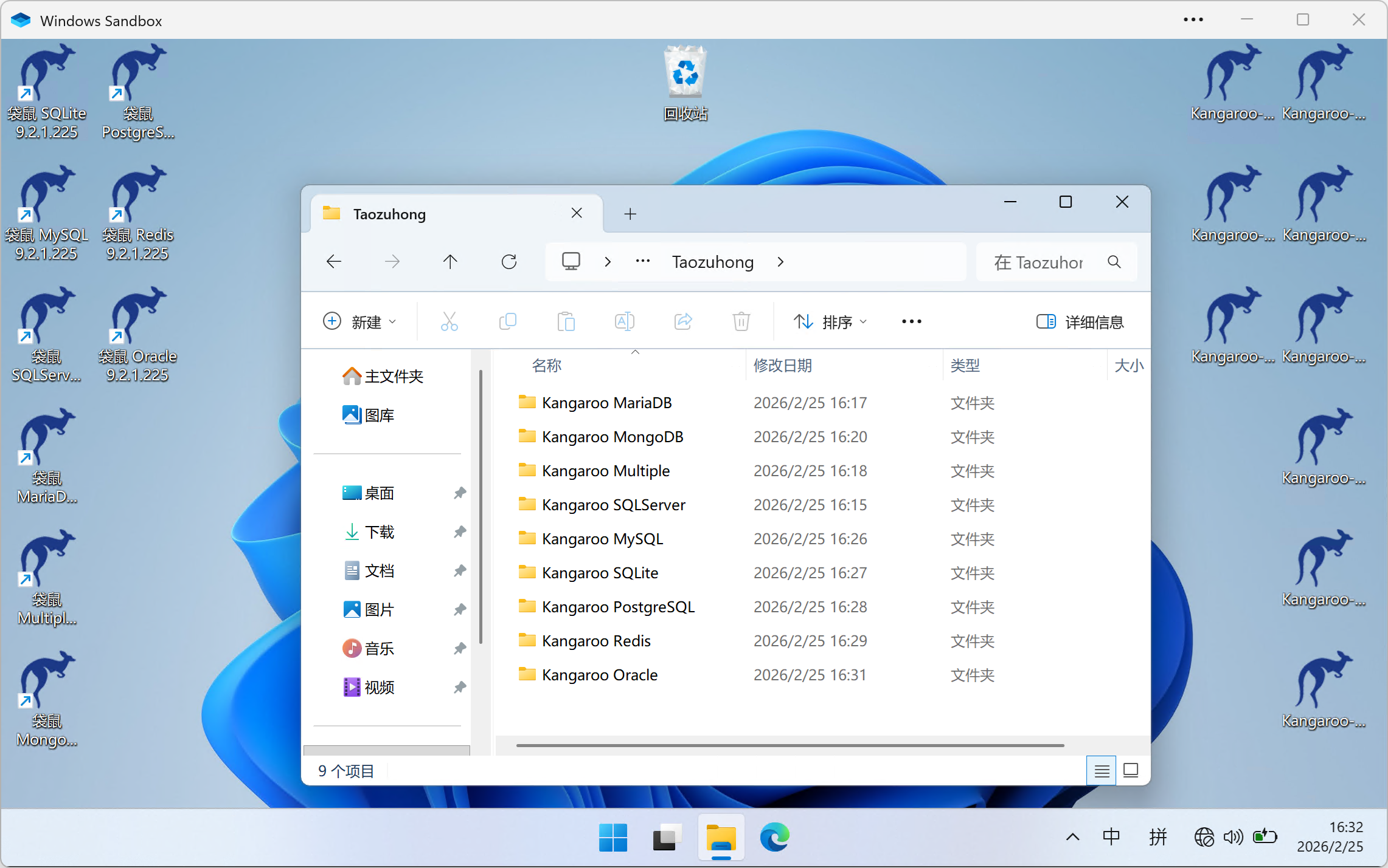 袋鼠沙盒安装测试截图