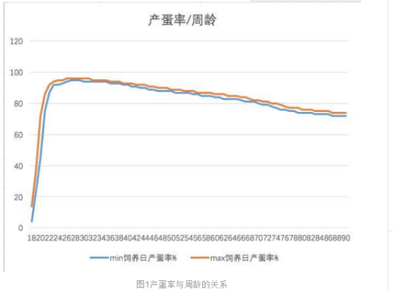 中国目前拥有蛋鸡存栏14~16亿羽左右,品种主要是海兰褐,海兰灰,农大3