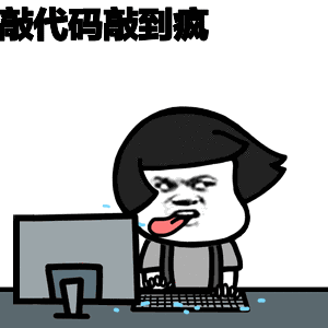 程序员表情包,别说话,吵到我写代码了