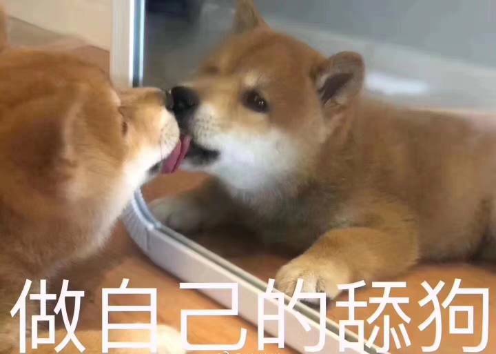 我就服你们这些程序员,什么都敢说,还特有自知之明