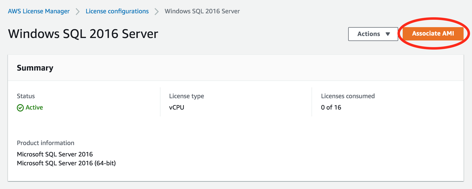 Mechanisms to govern license usage with AWS License Manager 