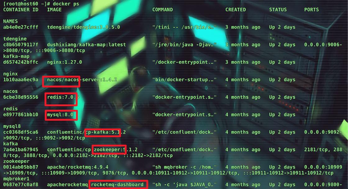 image-20250426224925492