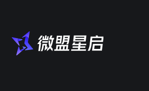 2026江苏微盟星启GEO单品牌深度解析