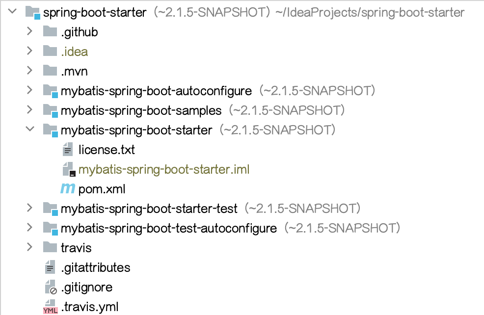 show-version-project-view