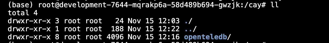 image-20251115213449377