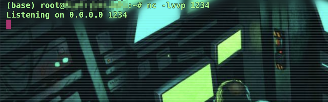 image-20250501170534044