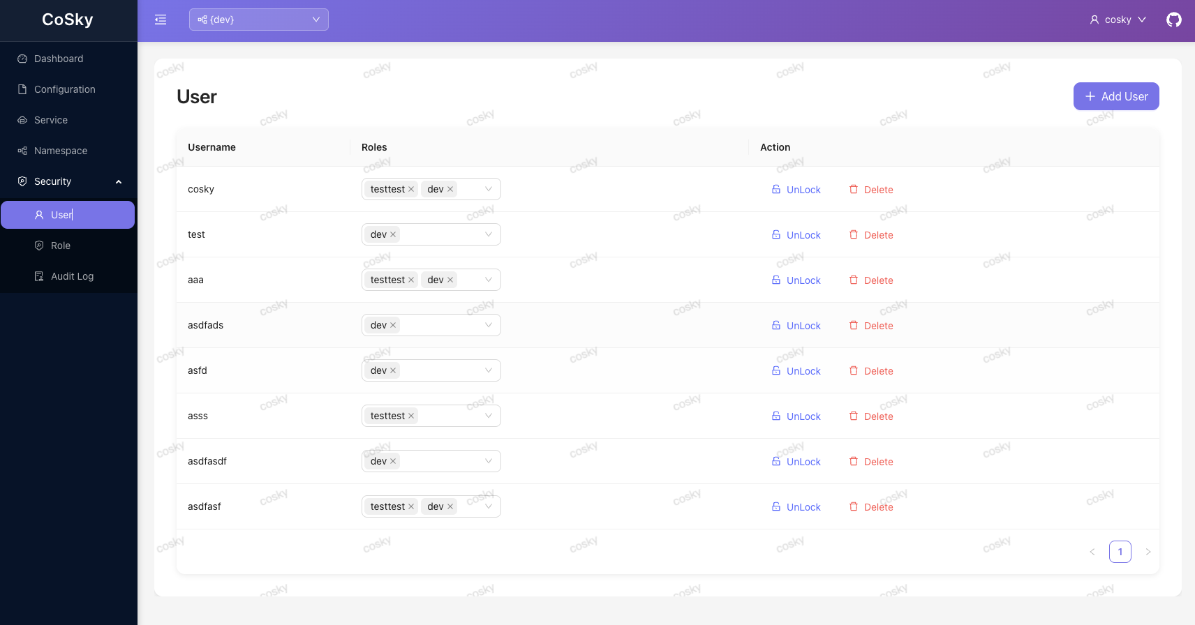 CoSky-Dashboard-user