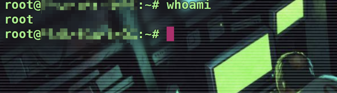 image-20250501165649923