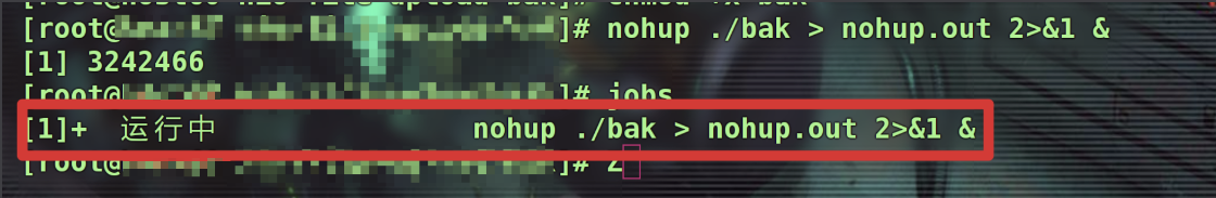 image-20250501170659232