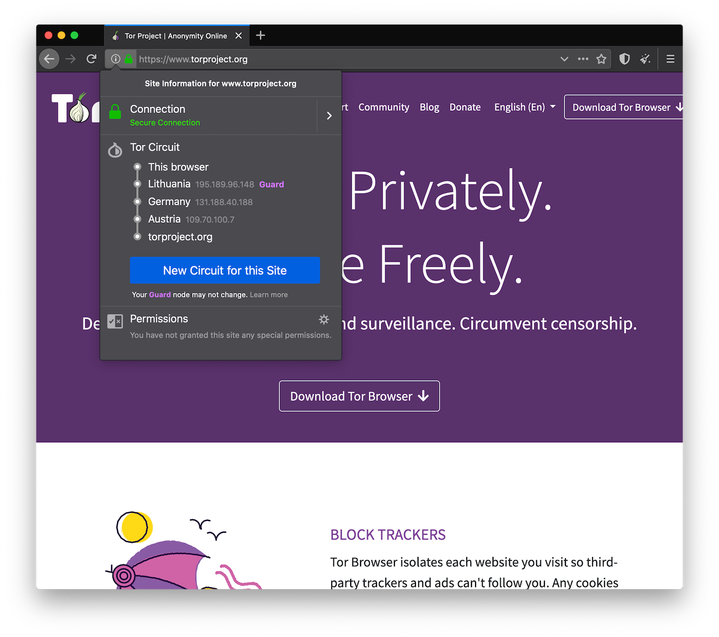 tor browser torproject gydra