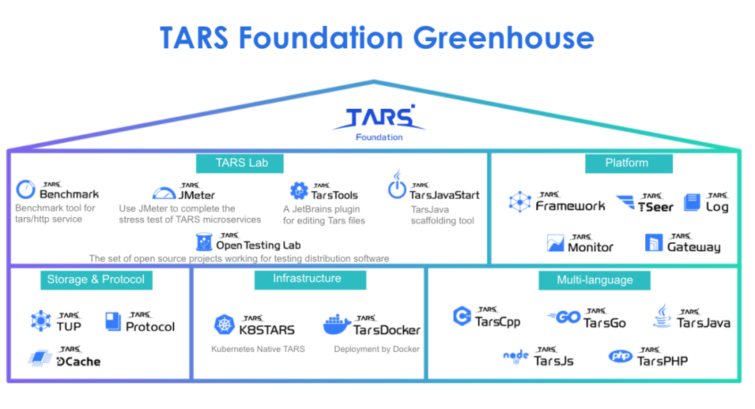TARS基金会2020年度报告 