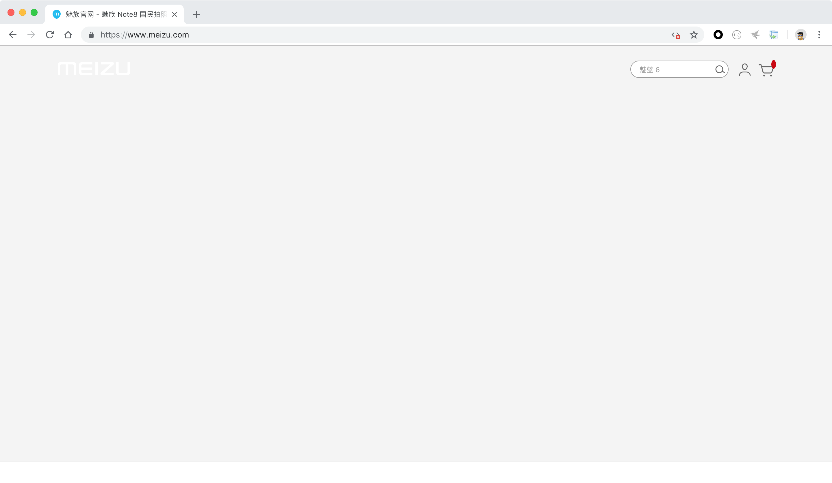魅族官网容错性测试