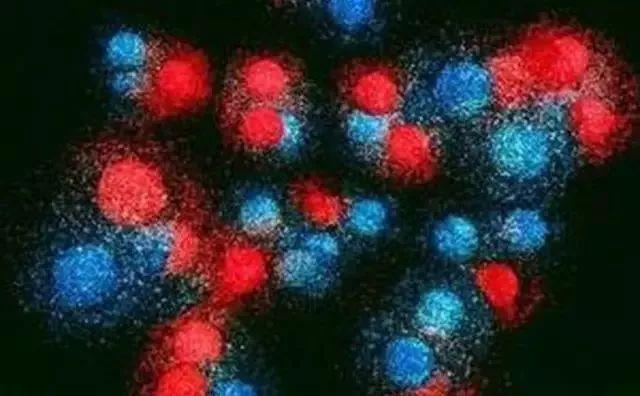美国Science公布:全球125个最前沿的科学难题(图)
