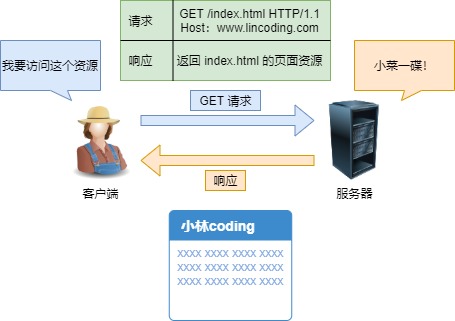 GET 请求 GET 请求