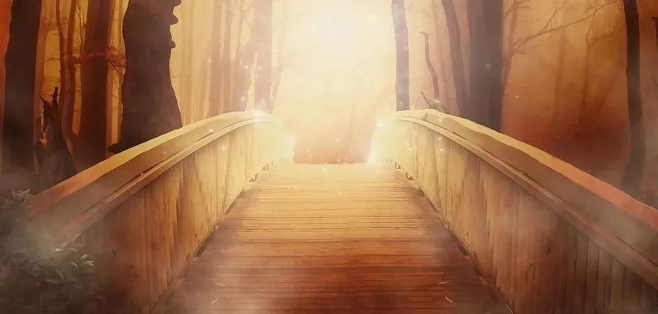 为什么 Vue3 的 ref 让很多大佬操碎了心？