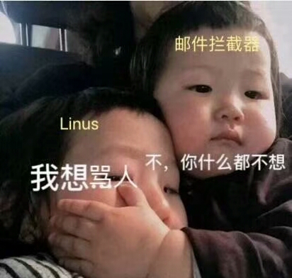 反省归来，Linus 开始彬彬有礼地指出糟糕的内核代码​​​​​​​