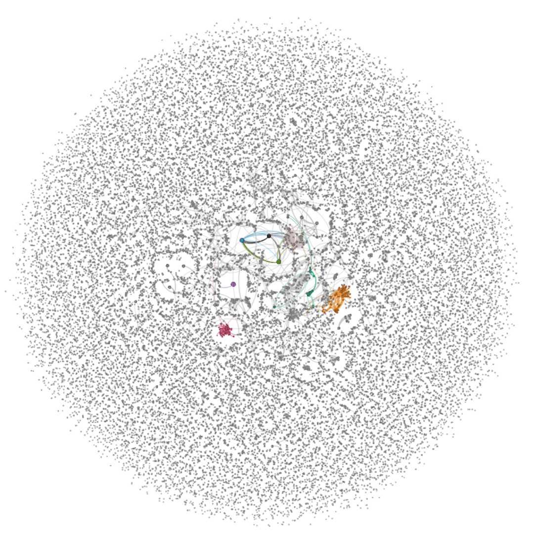 13430dca-4c5a-4002-b09c-9ad431f65ae8.png