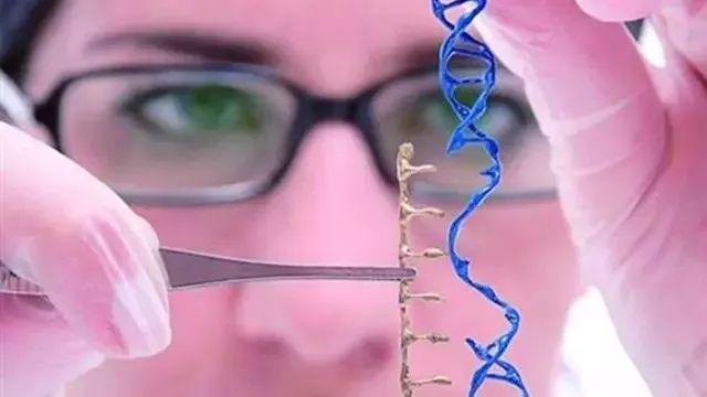 美国Science公布:全球125个最前沿的科学难题(图)