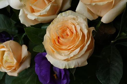 opencv+python制作硬核七夕礼物