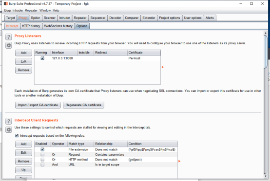 Burpsuite Professional安装及使用教程 