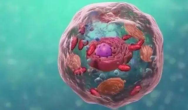 美国Science公布:全球125个最前沿的科学难题(图)