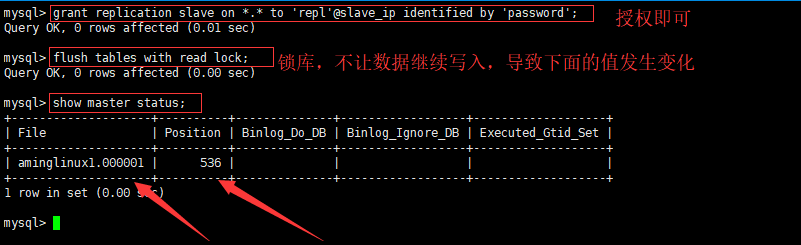 mysql的主从与读写分离 