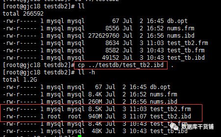 MySQL innodb表使用表空间ibd文件复制或迁移表 