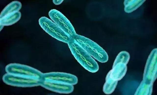 美国Science公布:全球125个最前沿的科学难题(图)