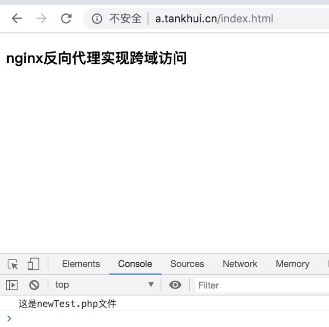 通过nginx反向代理实现跨域访问