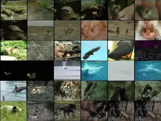 美国Science公布:全球125个最前沿的科学难题(图)