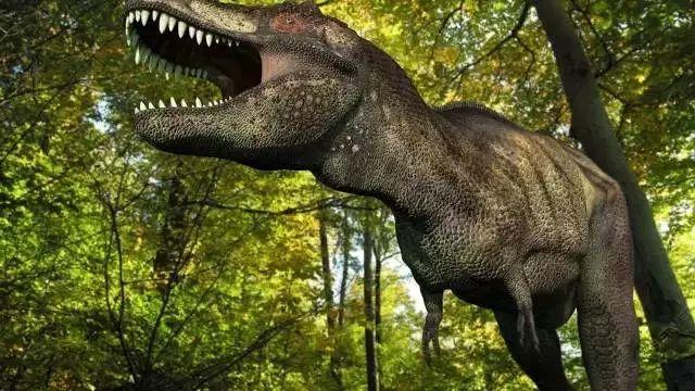 美国Science公布:全球125个最前沿的科学难题(图)