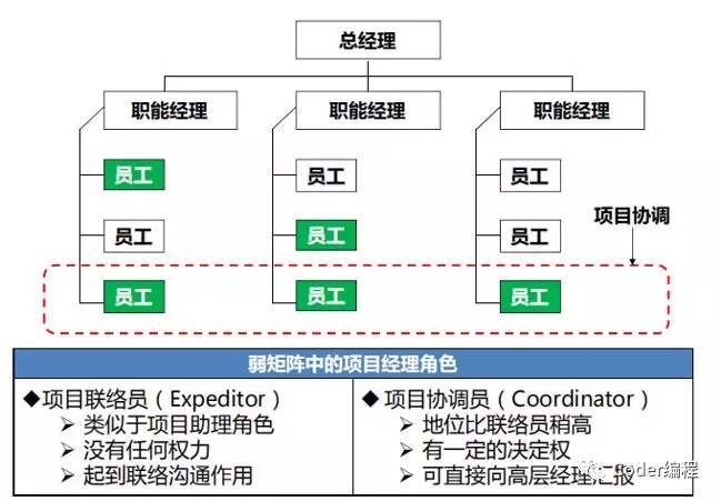 弱矩阵型组织