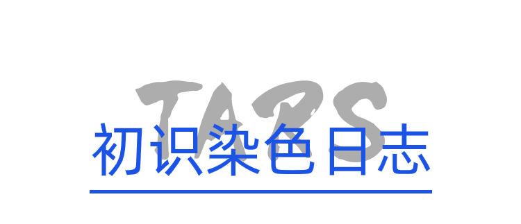 TARS染色日志 ｜ 收集记录特定日志 