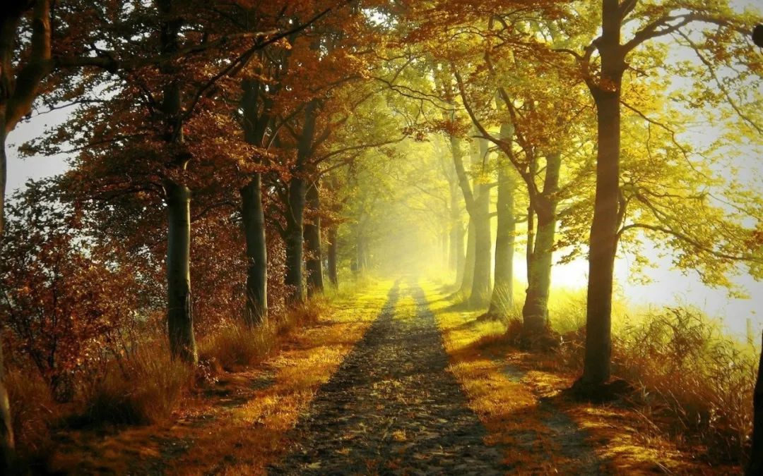 日志信息记录表|全方位认识 mysql 系统库