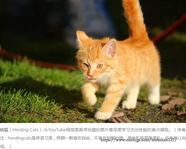 001-大数据分析和人工智能科普-04.png?x-oss-process=style/watermark