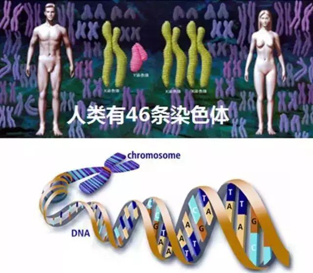 美国Science公布:全球125个最前沿的科学难题(图)
