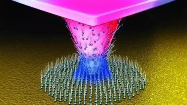 美国Science公布:全球125个最前沿的科学难题(图)