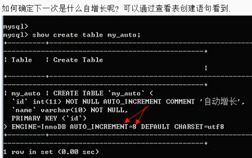 MySQL之字段数据类型和列属性 