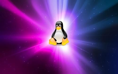 Linux有关Shell算数运算的用法补充笔记 