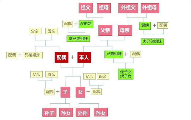 粉色为直系血亲;绿色为三代以内旁系血亲;黄色为近姻亲