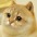 立党