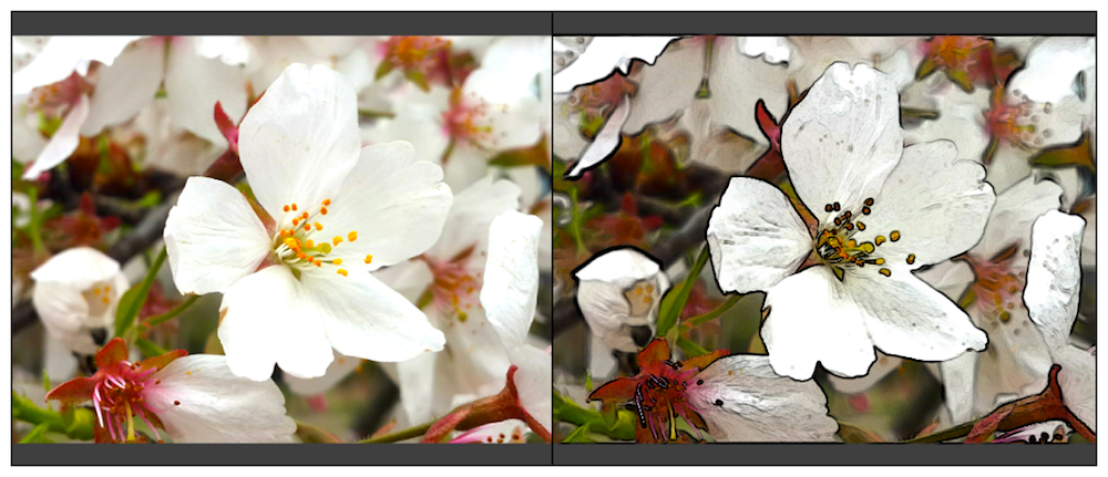 edge_detection.png-717.9kB