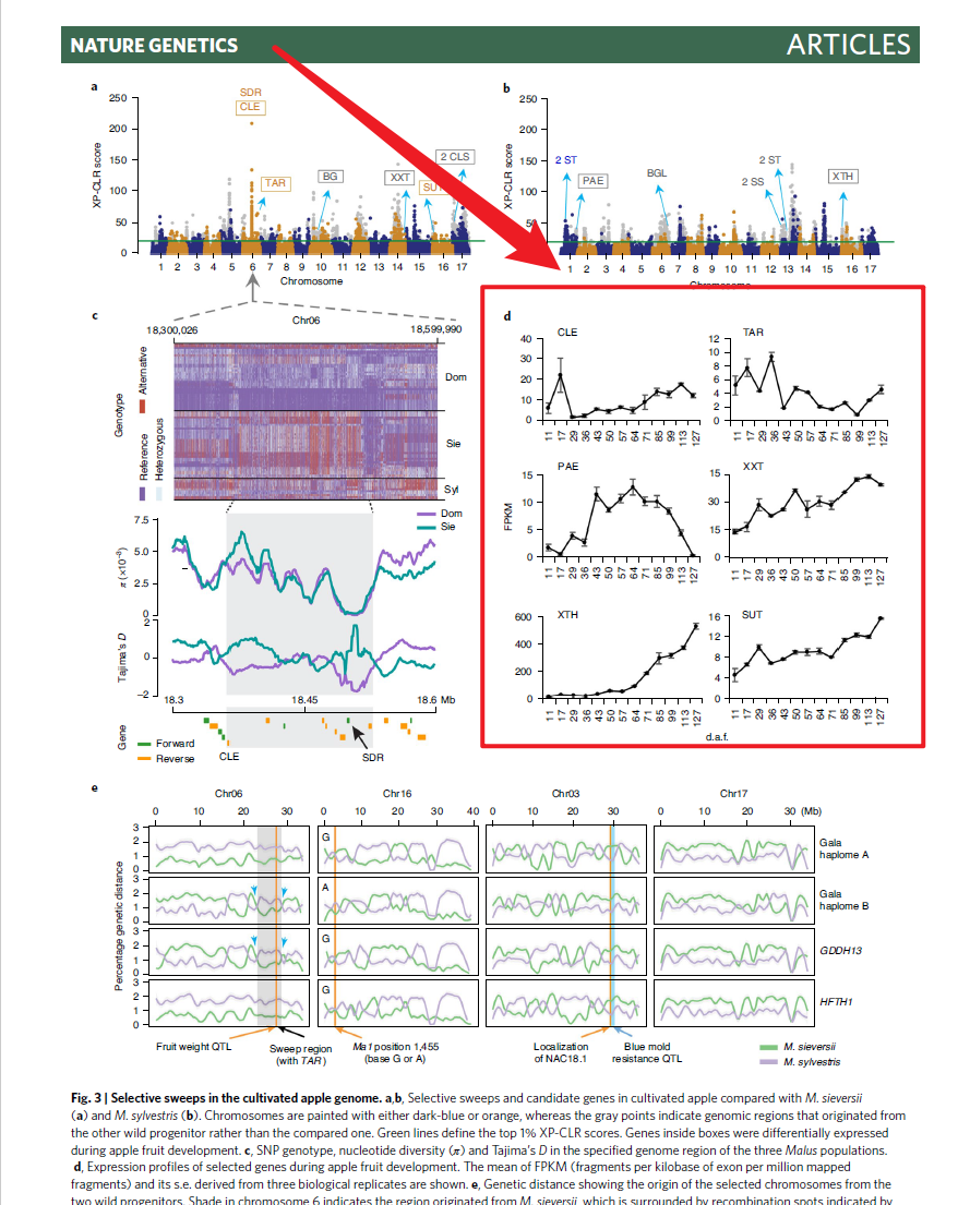 跟着naturegenetics学画图r语言ggplot2画折线图并添加误差线