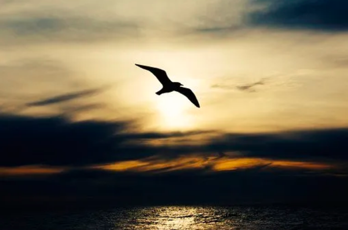 汇总篇 | MySQL数据库设计开发规范