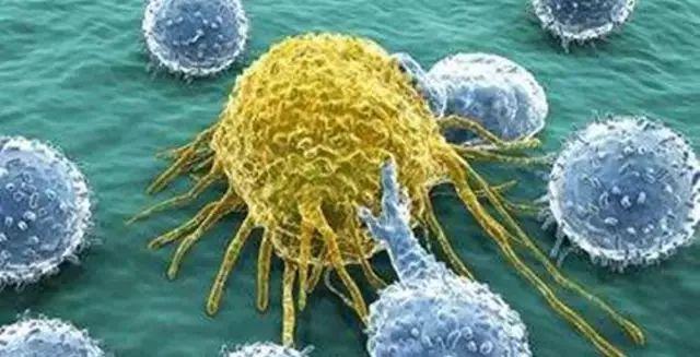 美国Science公布:全球125个最前沿的科学难题(图)