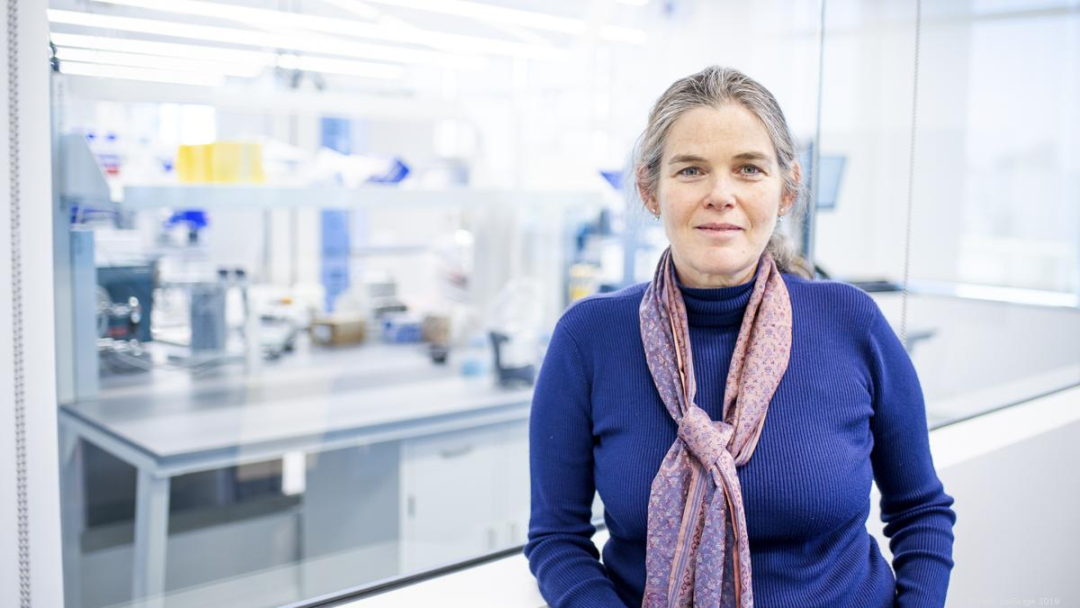 优秀的个人博客,低调大师