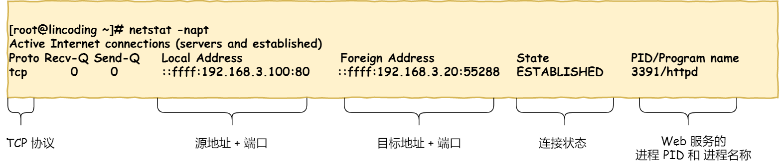 TCP 连接状态查看 TCP 连接状态查看