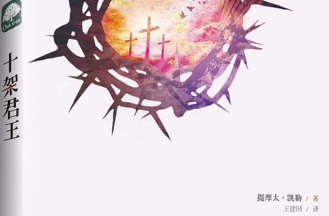 可怕的误区——《十架君王》读后感作文2900字